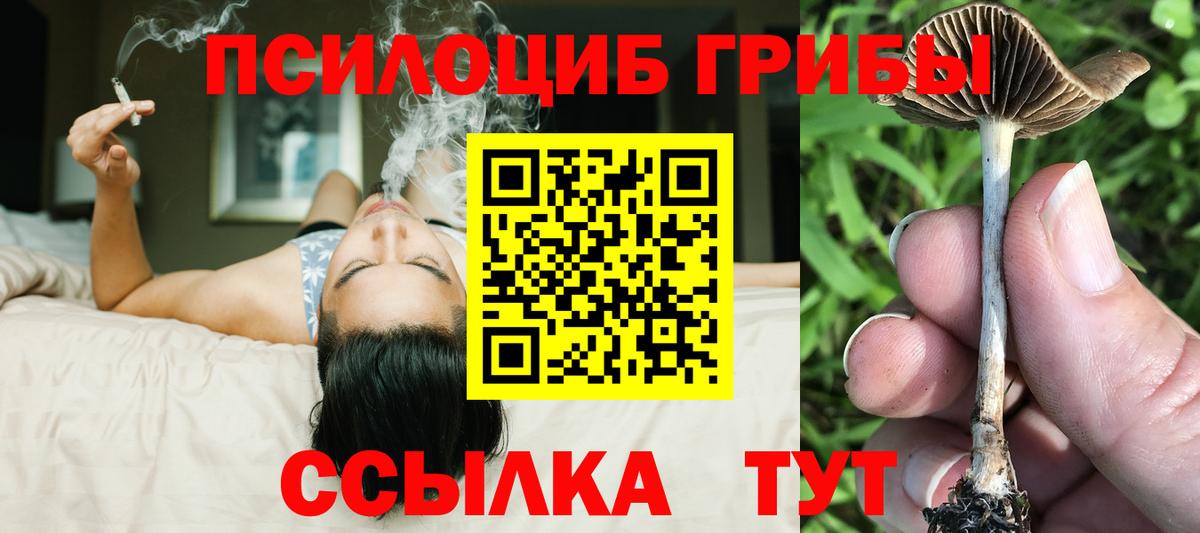 купить   Галлюциногенные грибы ЛСД  Малгобек  Вход с VPN  Галлюциногенные грибы прущие грибы 